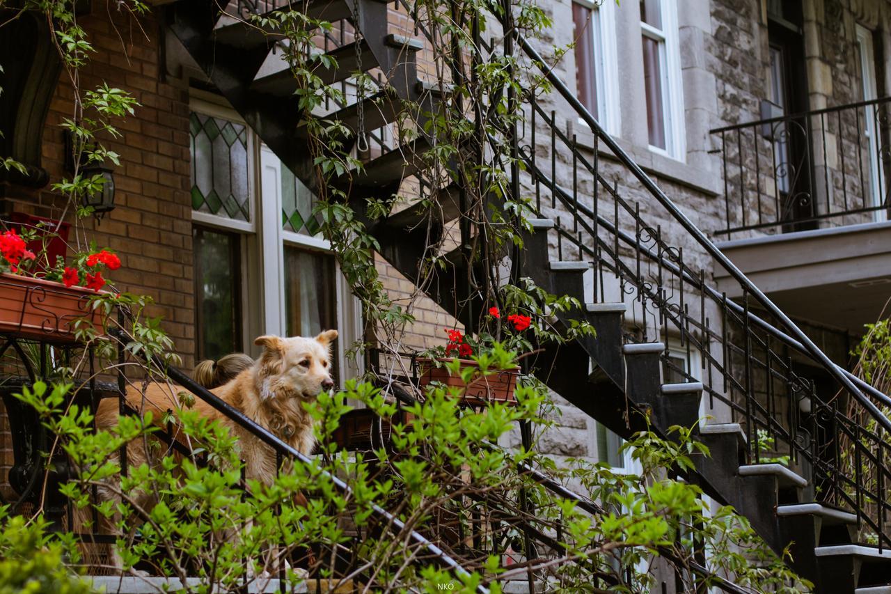 Pied-A-Terre Mont-Royal Hostel Montreal Bagian luar foto